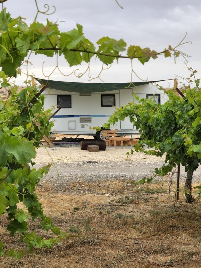 Itav Bateva Caravans - ייטב בטבע קרוואנים Mițpe Ramon Exterior foto